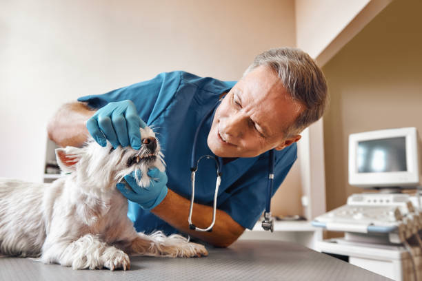 Best Pediatric Emergency Dentist in Garrett, TX
