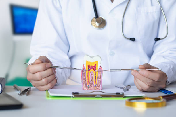 Best Emergency Treatment for Dental Infections or Abscesses in Garrett, TX